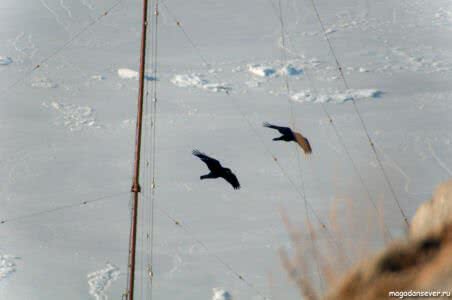 20120220_160942