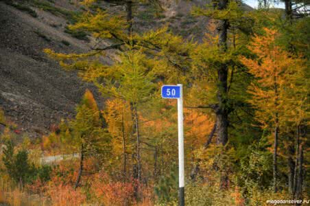 Тенькинская трасса 50 км, осень