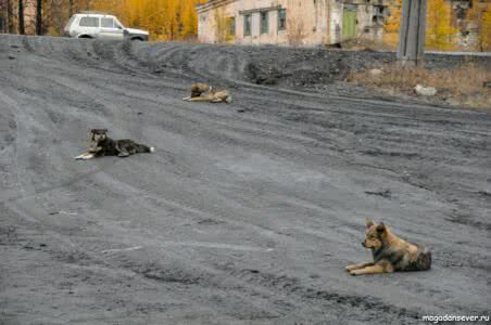 Федеральная трасса Колыма, п. Большевик